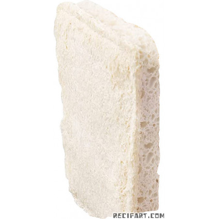 Biodegradable ecological sponge