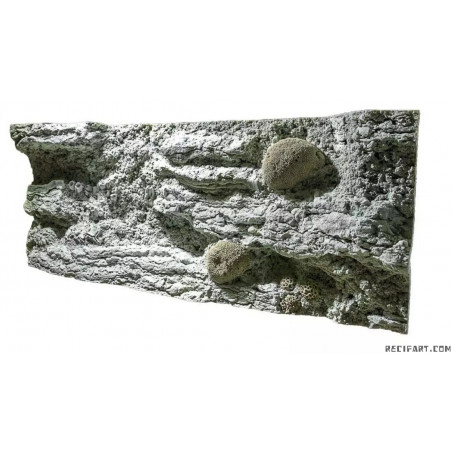 Rif achtergrond 150cm