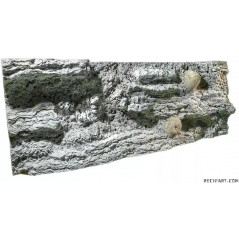 Back to nature Reef background 150cm Décoration