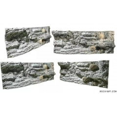 Back to nature Reef background 200cm Decoration