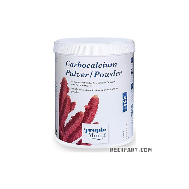 Carbo-Calcium poudre 700g