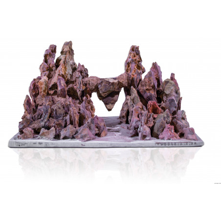 Aquavie Aquanatur Paisaje Cañón SS Decoración