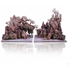 Aquavie Aquanatur Landscape Canyon Forest L Décor