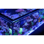 Red Sea Reefer Peninsula S 700 G2