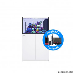 Red Sea Reefer Peninsula 350 G2+ Deluxe