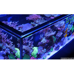 Red Sea Red Sea Reefer Peninsula S 700 G2 Deluxe Unequipped Aquarium
