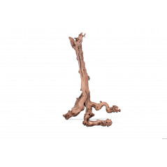 Aquavie RACINE MOPAVIGNE M 30-55CM Scenery