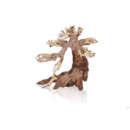 Aquavie Aquavie Bonsai Natur XS decoraties