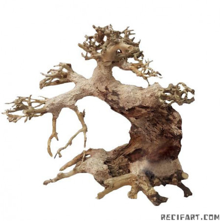 NATUURLIJKE BONSAI