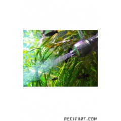 EHEIM Diffuseur p.Diam. 12 16mm pour 2213, 2222 24, 2322 24