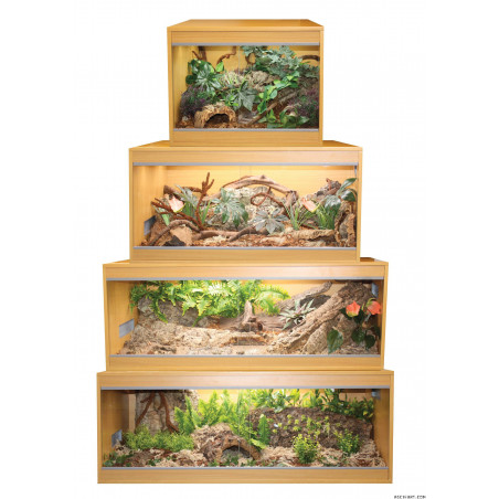 Komodo Ecology Habitat 57x49x43cm Beech Terrarium