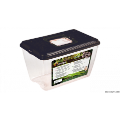 Reptiles Planet Repti Tank L Nouveau modèle 2019 32.5X21X20 cm LxlxH Boite d'élevage