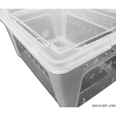 Reptiles Planet Boite élevage reptiles ou insectes L 32x22x15 cm Boite d'élevage