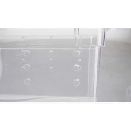 Reptile or insect breeding box S 19x12.5x7.5 cm