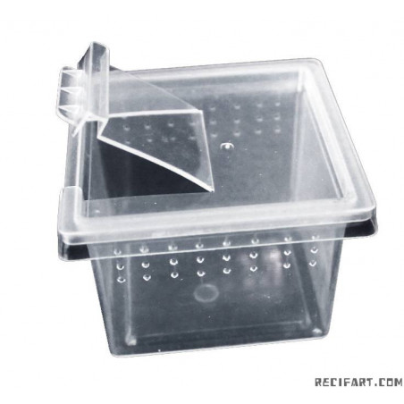 Reptiles Planet Boite élevage reptiles ou insectes XS 6.8x6.8x4.5 cm Boite d'élevage