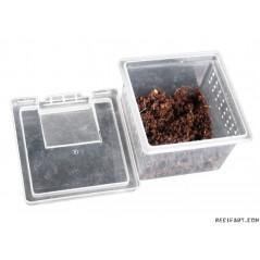 Caja de cría de reptiles o insectos XS 6.8x6.8x4.5 cm