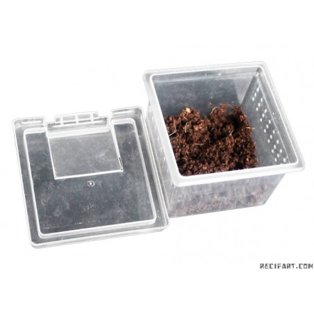 Boite élevage reptiles ou insectes XS 6.8x6.8x4.5 cm