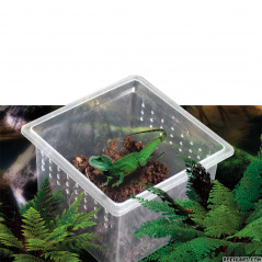 Reptiles Planet Boite élevage reptiles ou insectes XS 6.8x6.8x4.5 cm Boite d'élevage