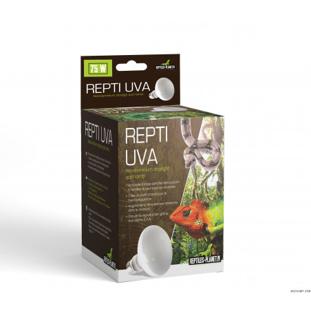 Reptiles Planet Repti UVA Neodyminium Daylight 75 W Eclairage
