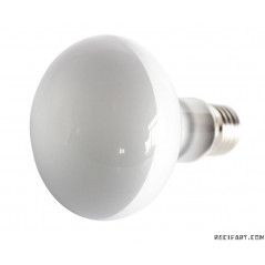 Repti UVA Neodyminium Daylight 75 W