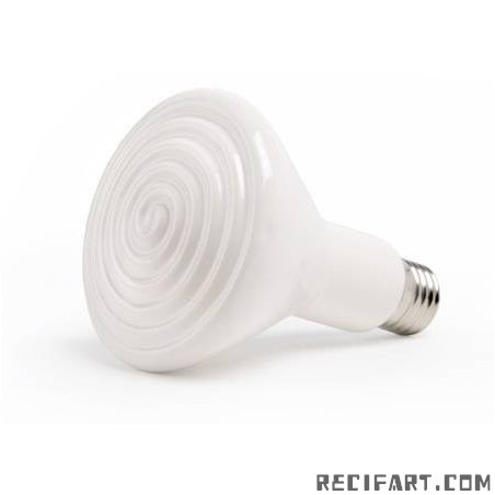 Komodo Radiant Heat Lamp 200w Eclairage