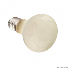 Komodo Basking Spot Lamp ES 75W