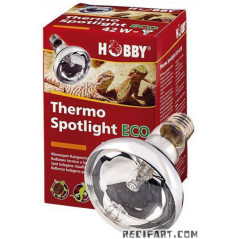 Hobby HOBBY Thermo Spotlight eco 70w ---Remplace HO37366--- Eclairage