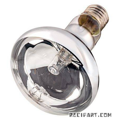 HOBBY Thermo Spotlight eco 70w ---Remplace HO37366---