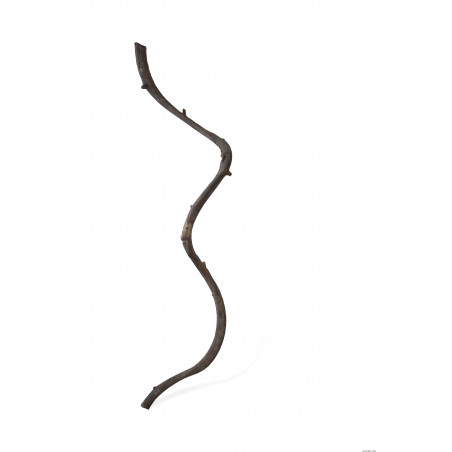 Aquavie LIANE 60-80CM Decoration