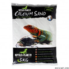 Reptiles Planet Calcium Sand Sechura Natural 5kg Sol