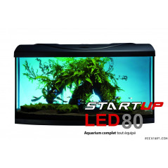 Aquavie AQUARIUM START UP80 LED EQUIPE 80x35x40cm NOIR BOMBE LED Aquariums