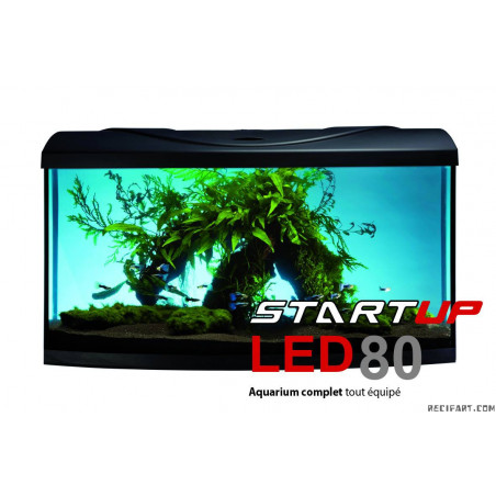 Aquavie AQUARIUM START UP80 LED EQUIPE 80x35x40cm NOIR BOMBE LED Aquariums
