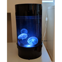 Jellyfish Nano Aquarium C8 - Kit de démarrage + méduses