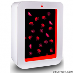 Acquario per meduse S58 + Starter kit + 10 meduse Acquario di meduse