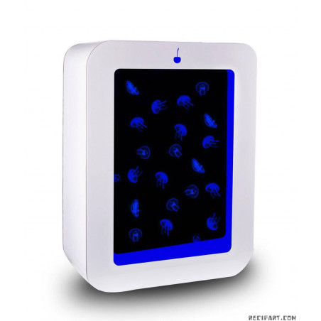 Acuario de medusas S58 + Kit de inicio + 10 medusas