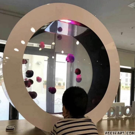 O287 Starter kit 30 jellyfish Jellyfish aquarium