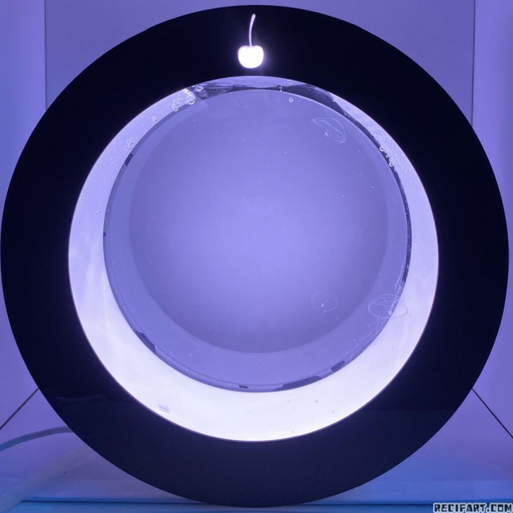 Mini O2 + pradinis rinkinys + medūzos Mini O2 + pradinis rinkinys + medūzos