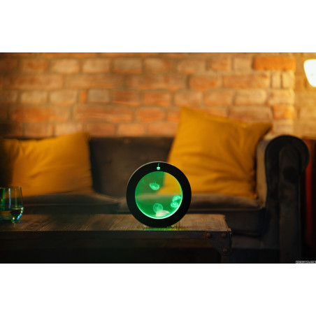 Mini O2 Jellyfish Starter Kit