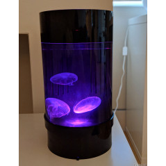 Jellyfish Nano Aquarium C8 - Kit de démarrage + méduses Aquarium à méduses