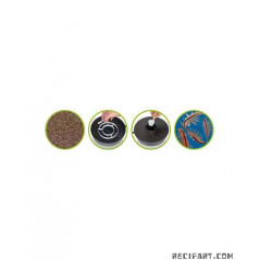 Hobby Eclosoir à artémia Nourriture pour méduses