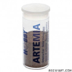 Hobby HOBBY Oeufs d'artémia 20 ml Nourriture pour méduses