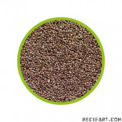 HOBIS Artemija Kiaušiniai 20 ml