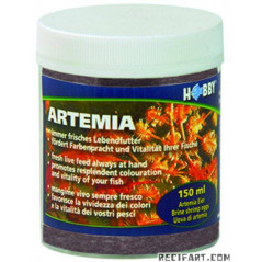 Hobby HOBBY Artemia eggs 150 ml Jellyfish Food