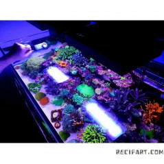 ITC Reefculture PARwise meter (Reefculture) Lighting