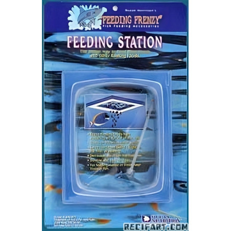 Feeding Station