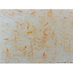 100% Ocean Plankton 100ml