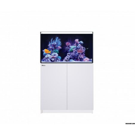 Red Sea Reefer MAX 250 G2+ Aquarium équipé