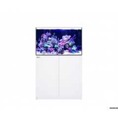 Red Sea Reefer MAX 300 G2+ Aquarium équipé