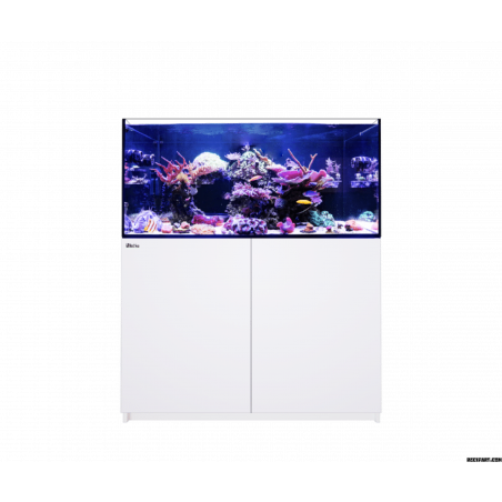 Red Sea Reefer MAX 350 G2+ Aquarium équipé