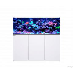 Red Sea Reefer MAX 525 G2+ Aquarium équipé
